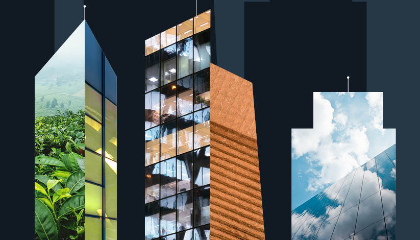 Net Zero Carbon