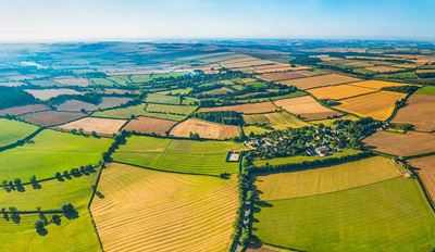 Aerial view of paddocks