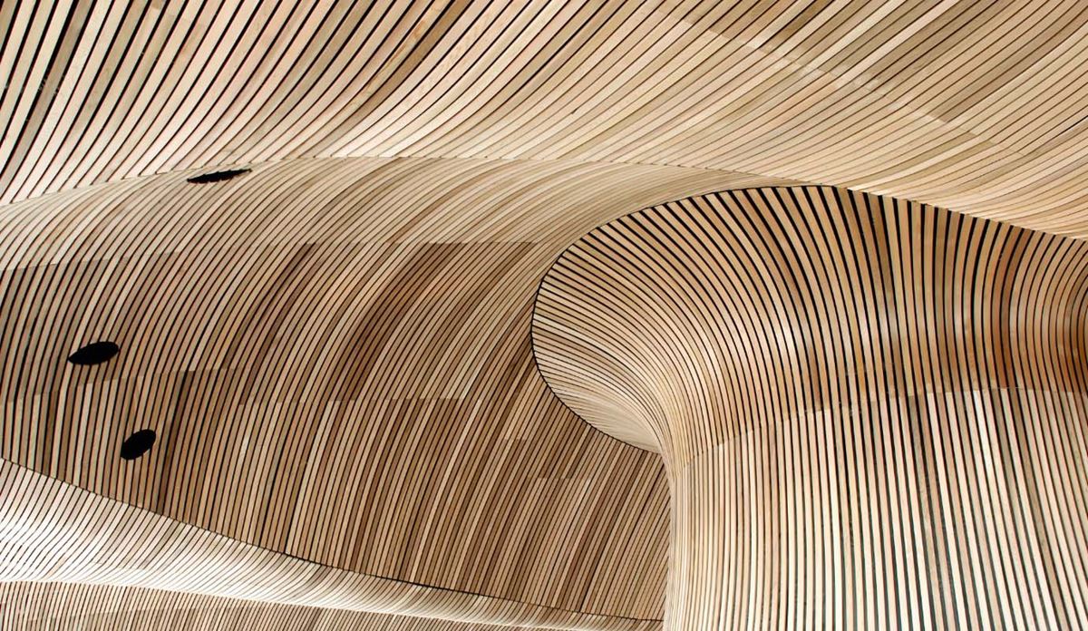 Curved wooden slat interior with smooth, wave-like ceiling and walls creating a modern, organic design.