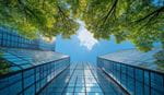Upward view of modern office buildings with trees
