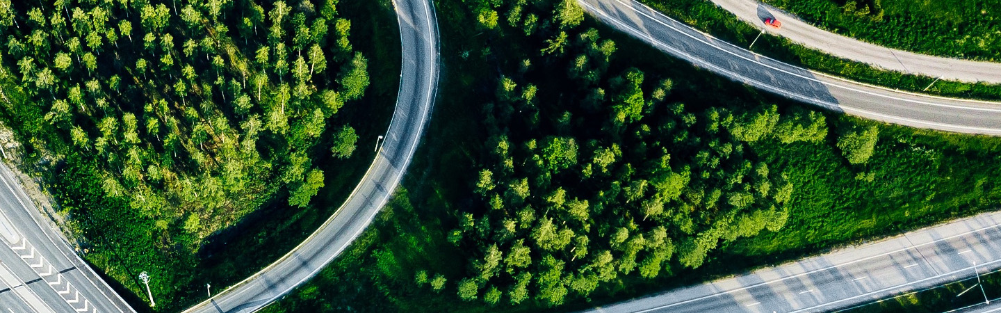 Aerial view of trees alongside a highway overpass