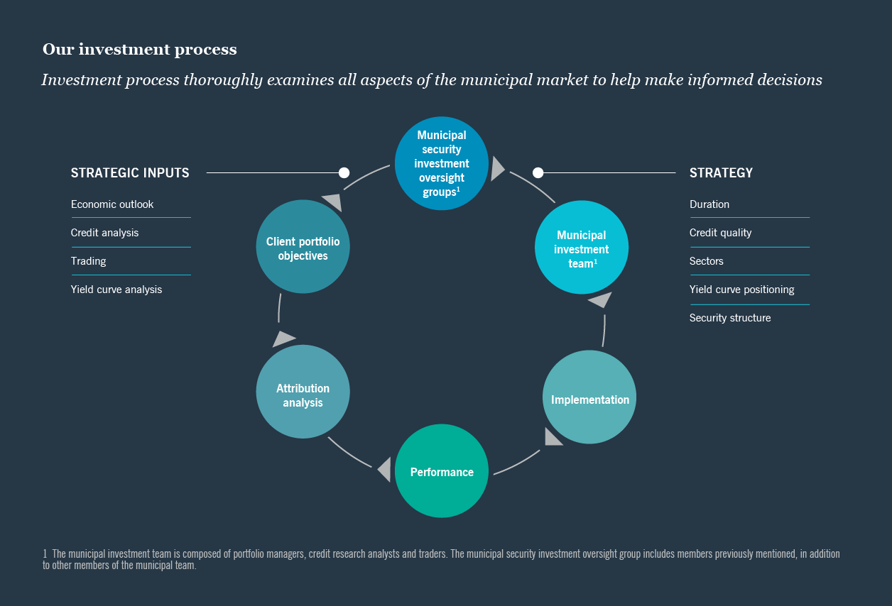 Chart: Our investment process