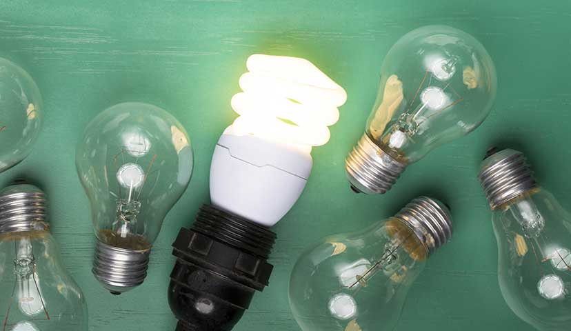 photo of lightbulbs
