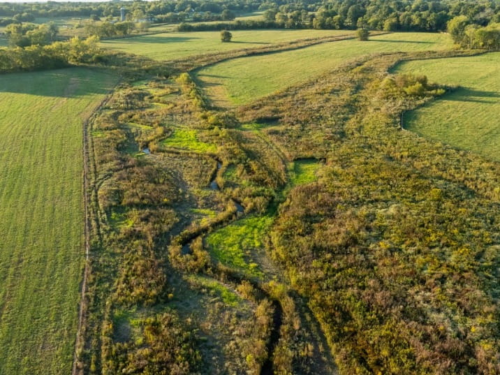 Aerial view of a winding stream through a meadow bordered by green farm fields and dense hedgerows, with woodland in the background.