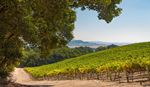 Green farmland over rolling hills