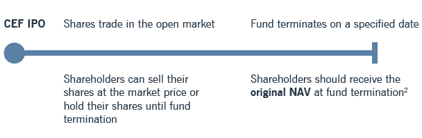 target term funds