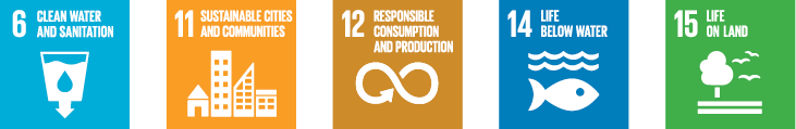 No poverty, sustainable cities and communities