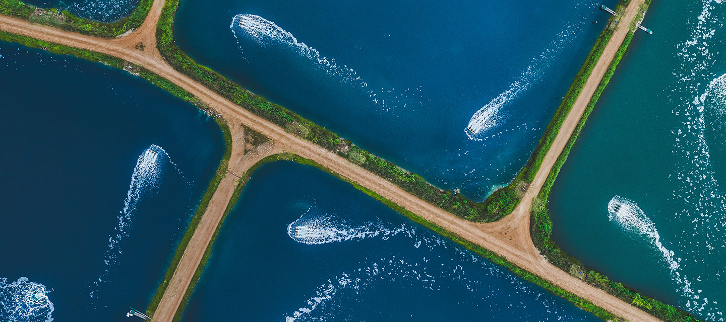 Aerial aquaculture ponds