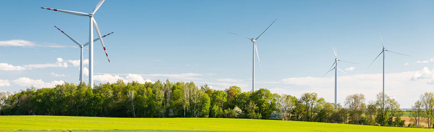 Image of field of windmills