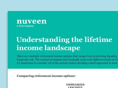 Understanding the lifetime income landscape