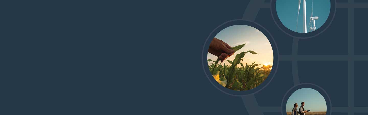 Circles with images of nature in each