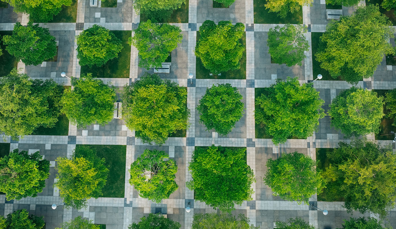 Portfolio customization that adapts to shifting landscapes