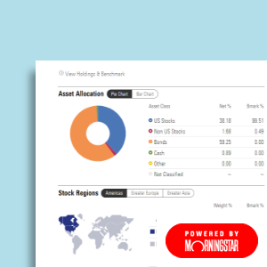 Portfolio review tool