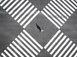 A person standing between crossroads.