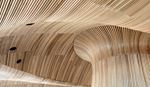 Curved wooden slat interior with smooth, wave-like ceiling and walls creating a modern, organic design.