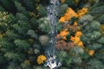 Aerial autumn forest with river