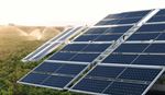 Solar panels installed on a farm