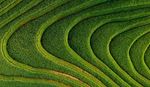 Aerial terraced fields