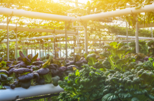 Investment specialists