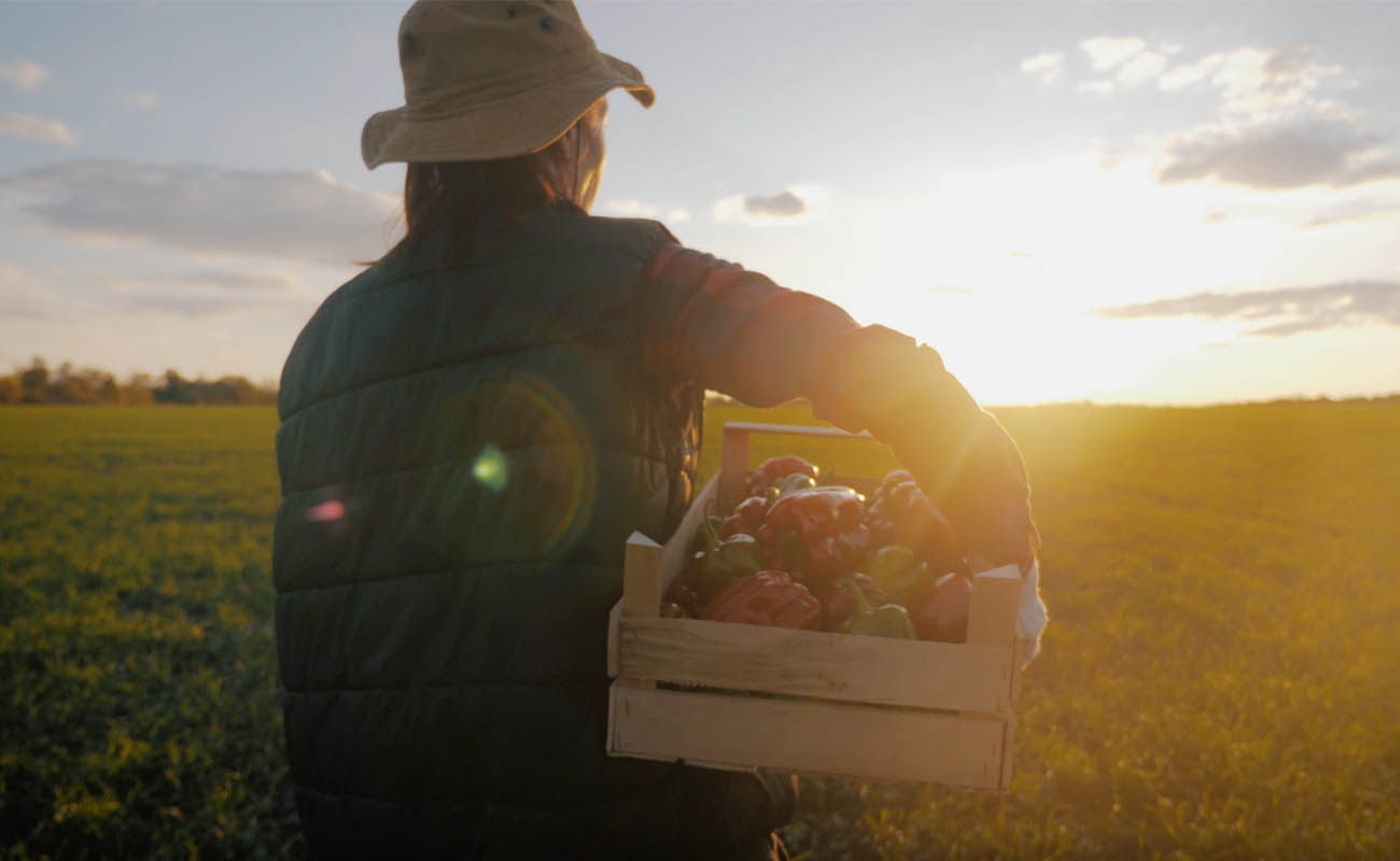 A person carrying strawberry basket   