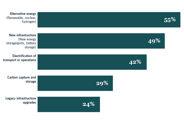 Chart: In which thematic areas do insurers plan to invest?