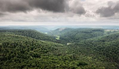 Out-of-focus aerial view of forested hills and a cloudy sky