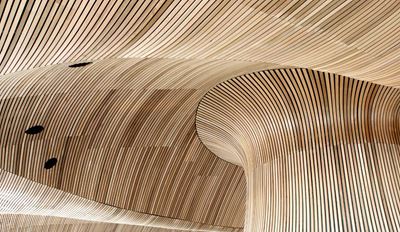 Curved wooden slat interior with smooth, wave-like ceiling and walls creating a modern, organic design.