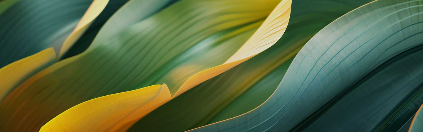abstract green leaf