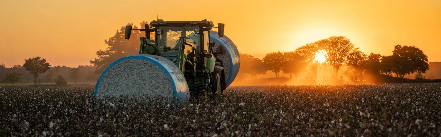 Sunset on a farm