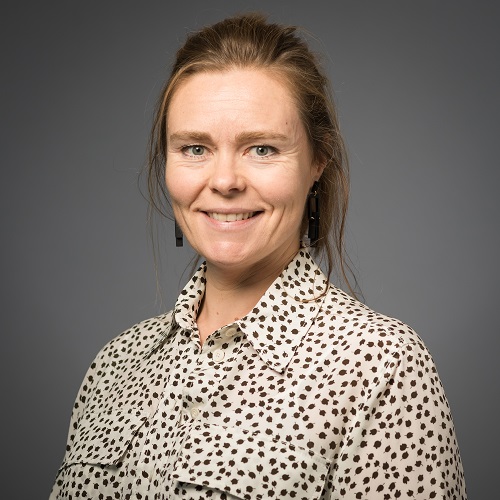 Ainslie