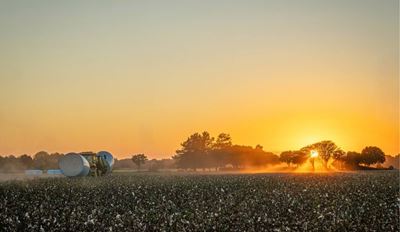 Tractor with hay bales in a field at sunrise.