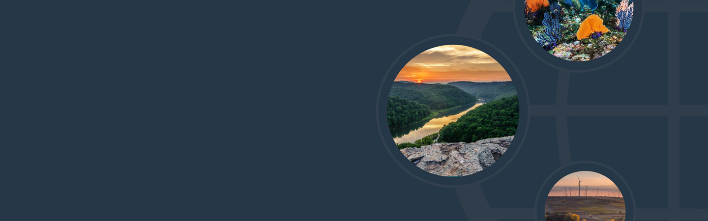 Circles with images of nature in each