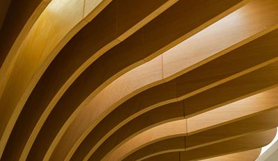 Curved wooden architectural ceiling with layered arching slats in warm golden tones.