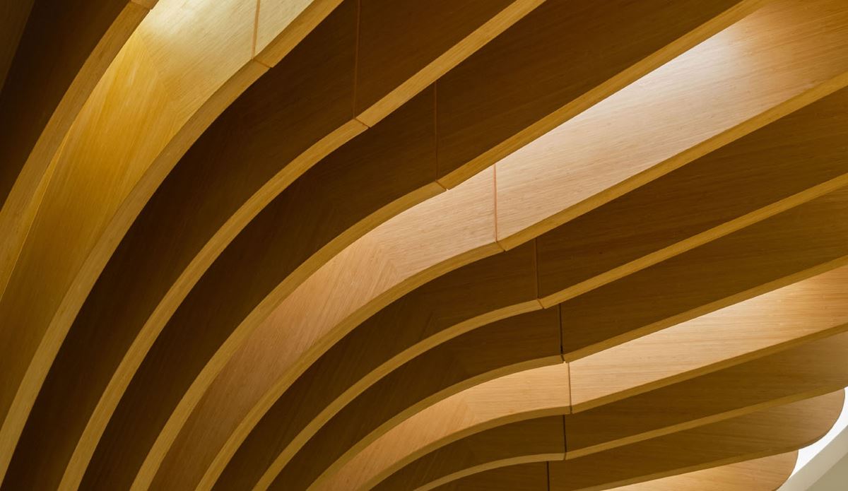 Curved wooden architectural ceiling with layered arching slats in warm golden tones.