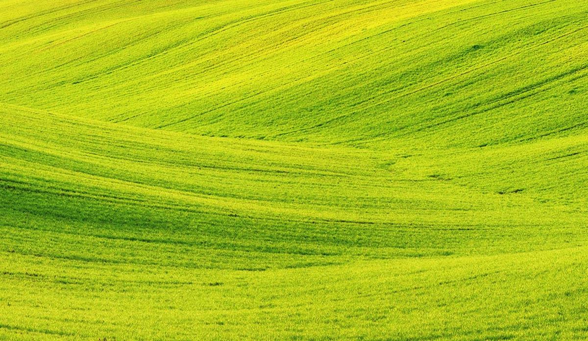 Green color background