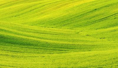 Green color background