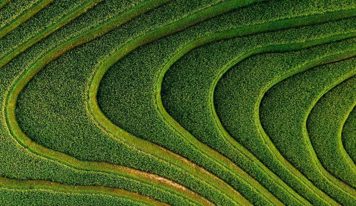 Aerial terraced fields