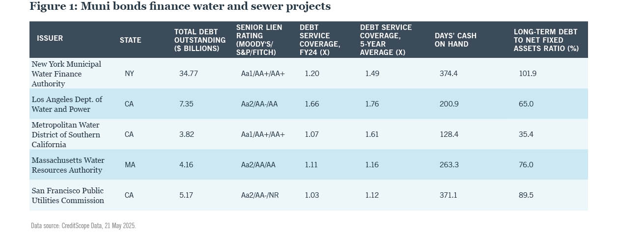 Muni bonds finance water