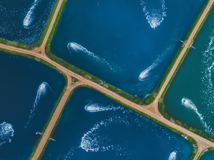 An aerial view of blue and teal aquaculture ponds separated by narrow earthen access roads