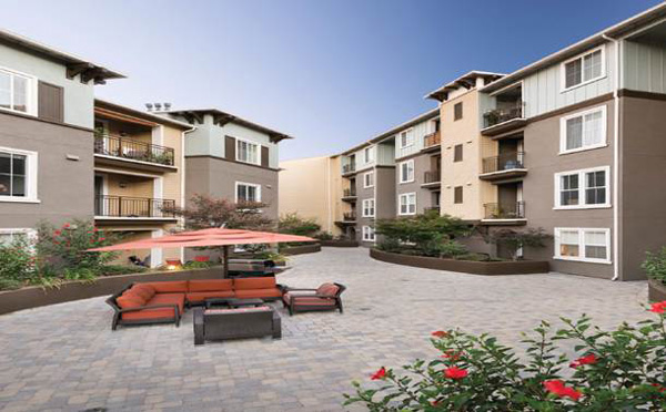 Ivy Hill