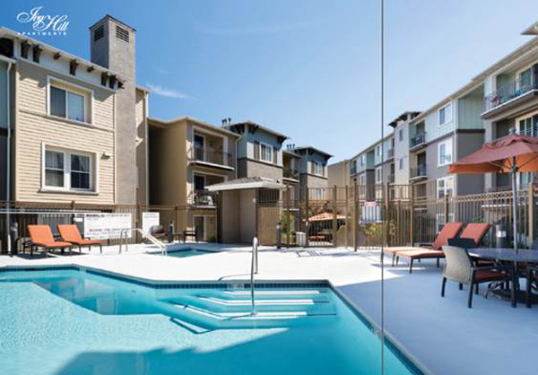 Ivy Hill