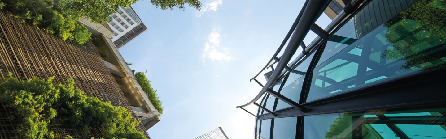 Image of buildings and trees taken from the ground towards the sky
