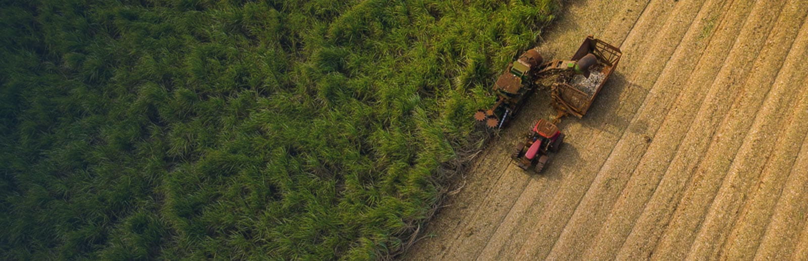 An aerial view of a tractor and farm equipment clearing trees