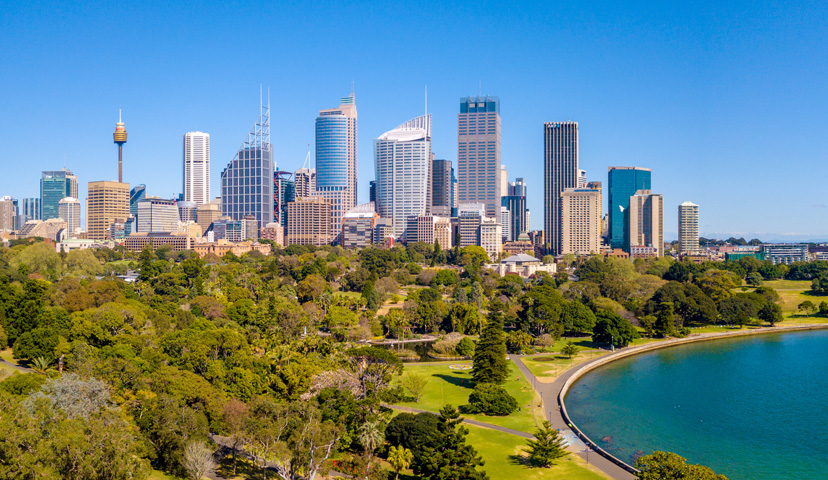 View of Sydney skyline from Royal Botanic Gardens