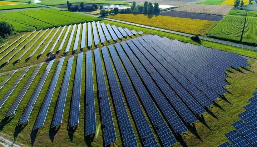 Solar panel farm