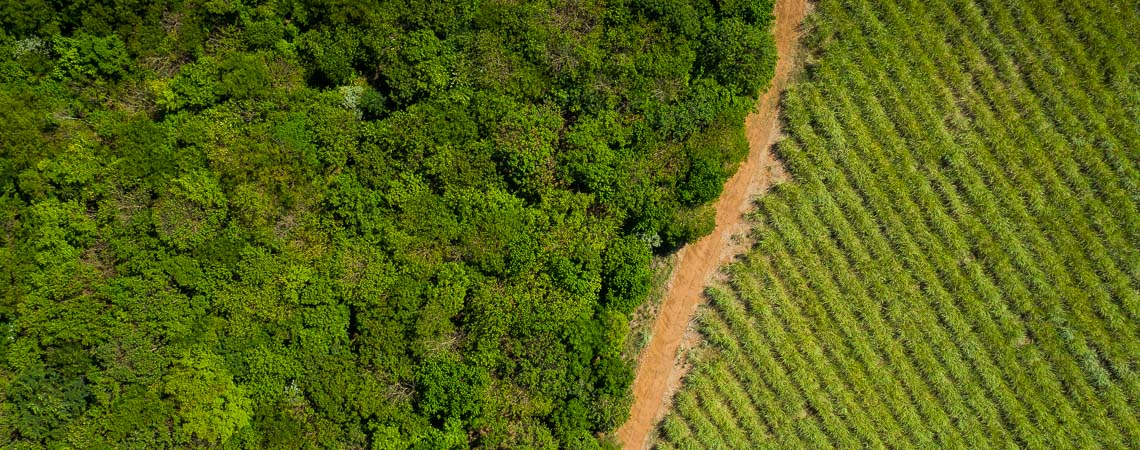 Drone image shot of farmland in Brazil