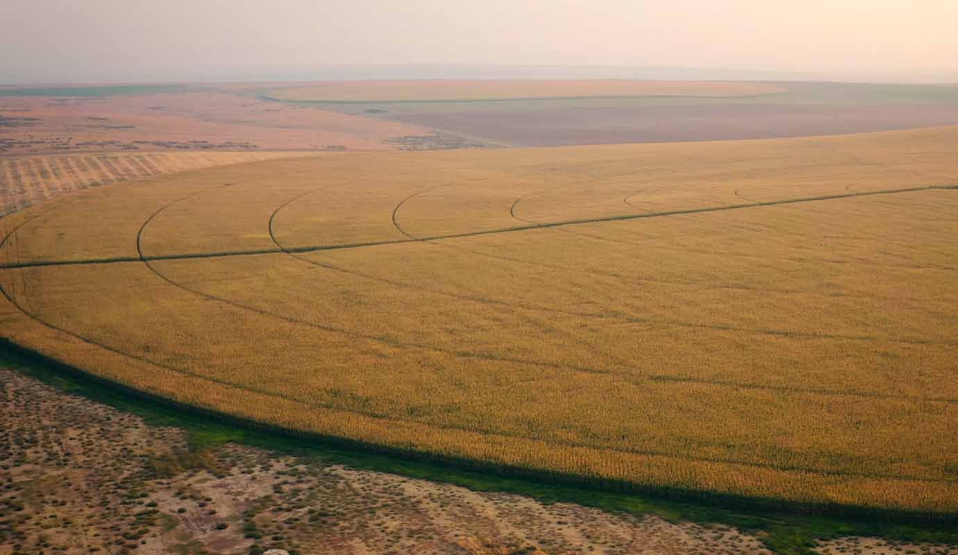Aerial view of farmland
