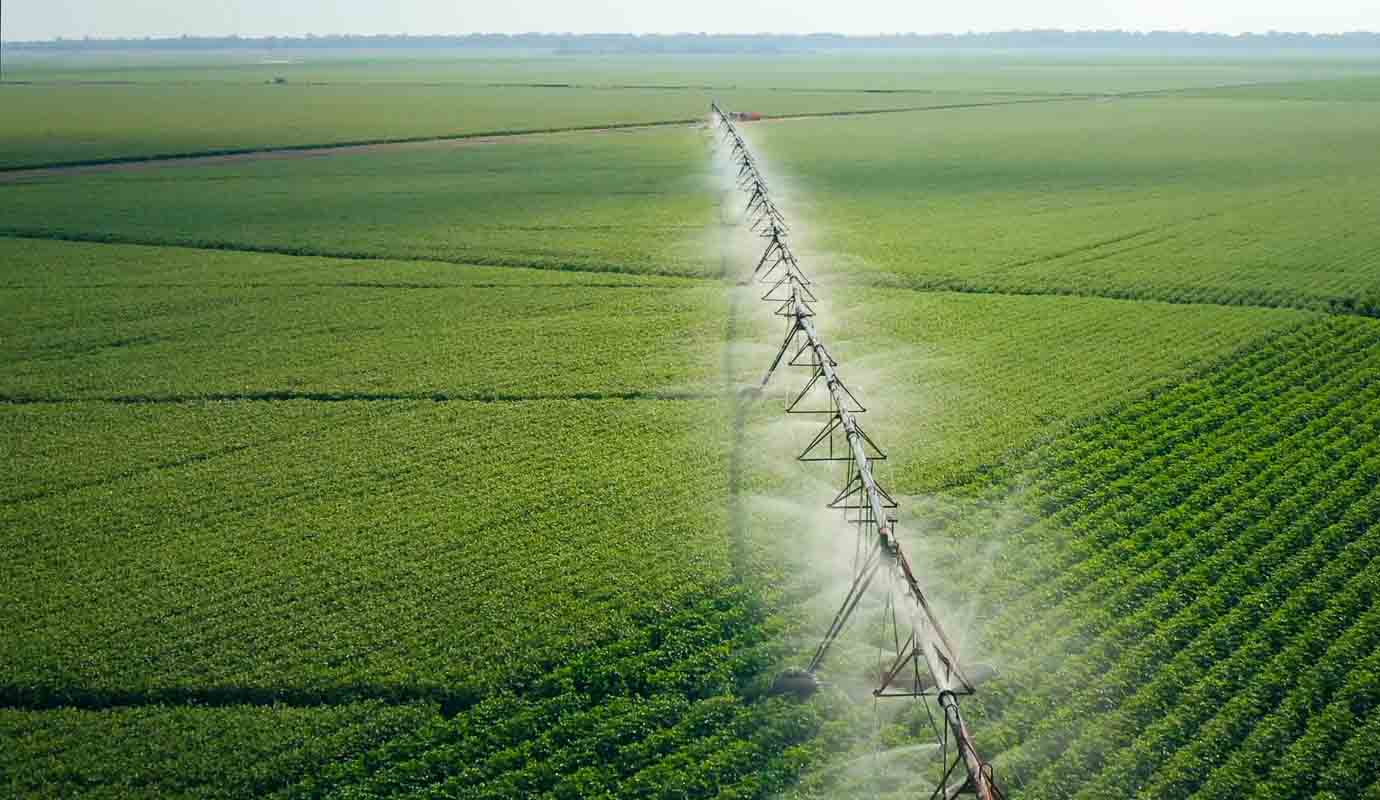 Farmland being watered