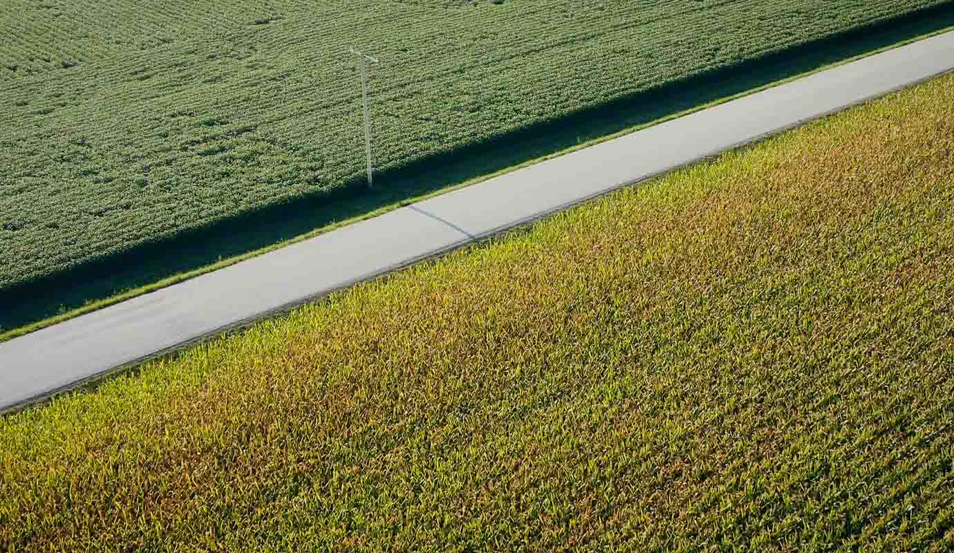 Two pieces of farmland separated by road