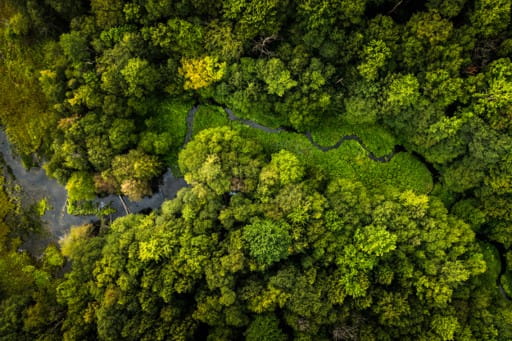 Farmland Nature